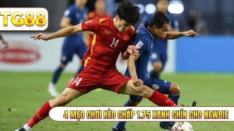 4 mẹo chơi kèo chấp 1.75 xanh chín cho newbie