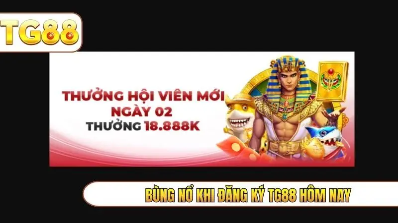 Bùng nổ khi đăng ký TG88 hôm nay