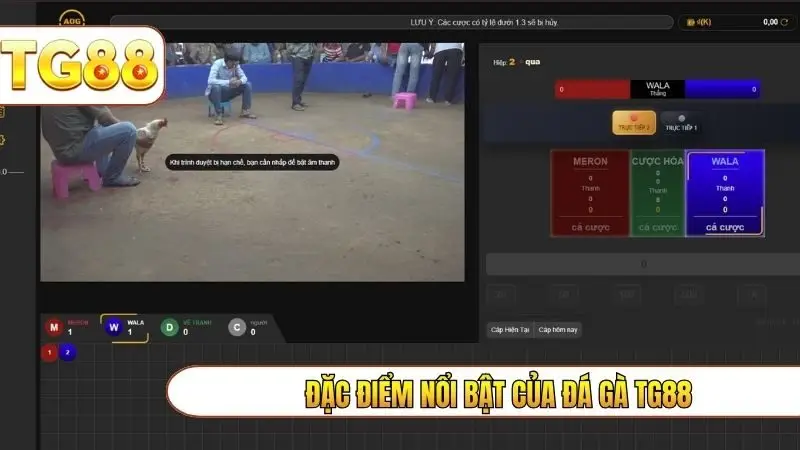 Đặc điểm nổi bật của đá gà TG88