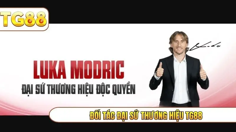 Đối tác đại sứ thương hiệu TG88