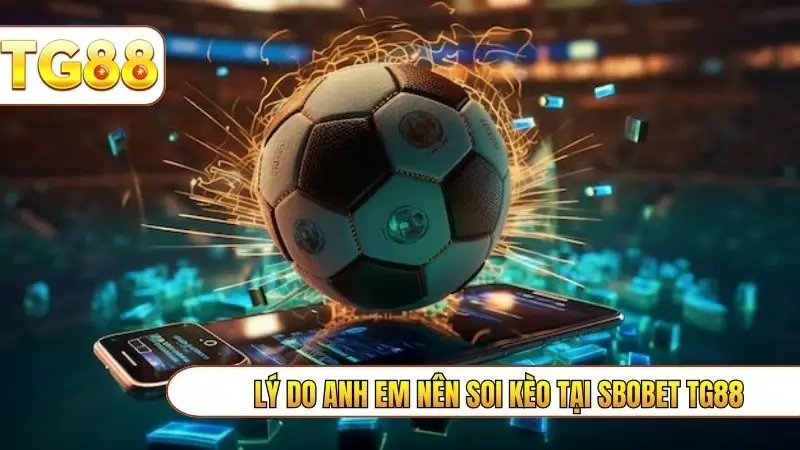 Lý do anh em nên soi kèo tại SBOBET TG88