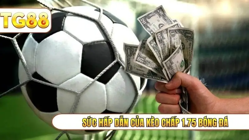 Sức hấp dẫn của kèo chấp 1.75 bóng đá