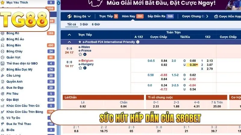 Sức hút hấp dẫn của SBOBET