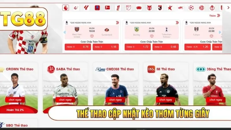 Thể thao cập nhật kèo thơm từng giây